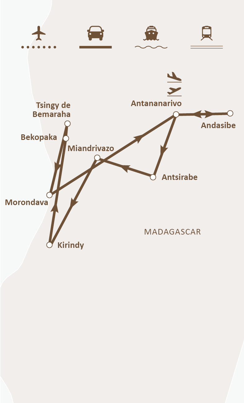 Mapa de ruta