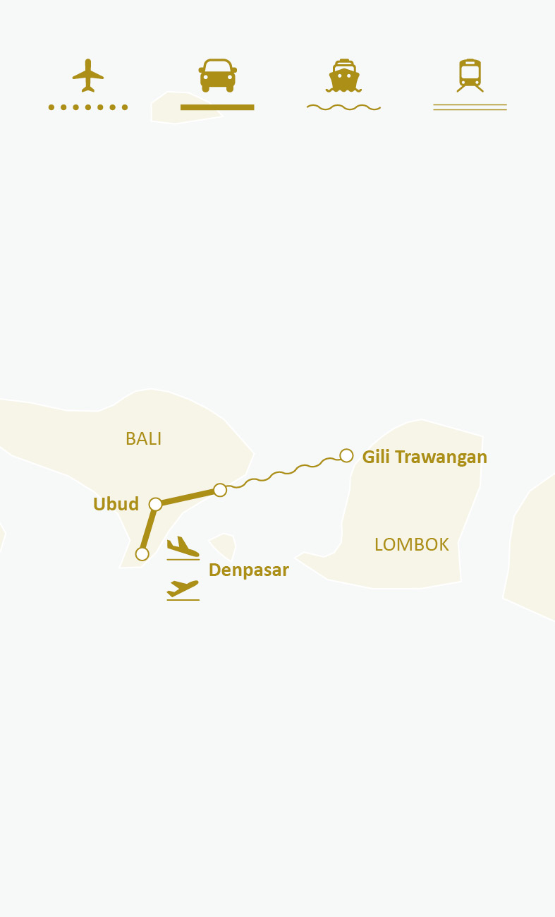 Mapa de ruta