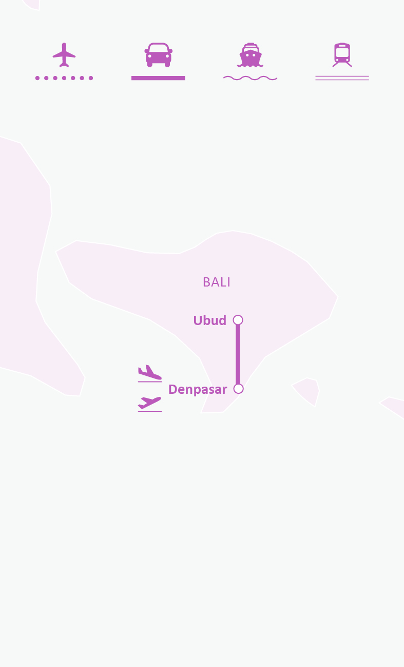 Mapa de ruta