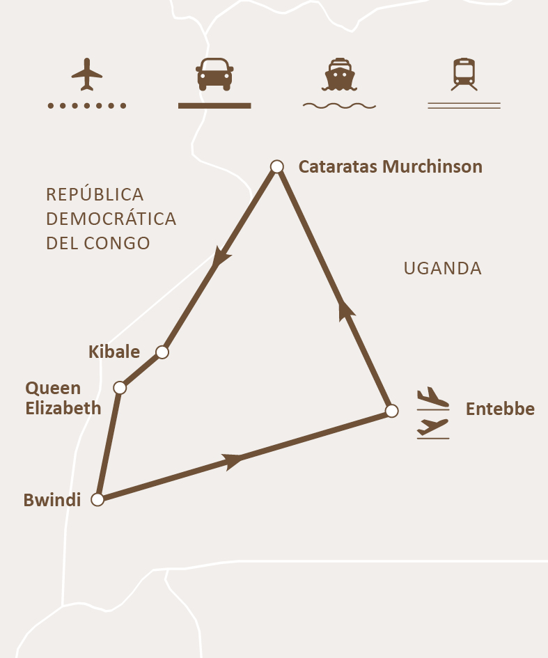 Mapa de ruta