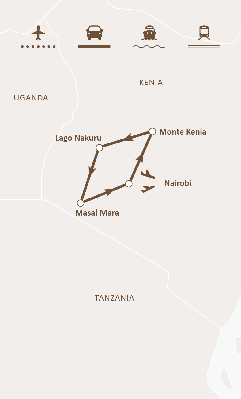 Mapa de ruta