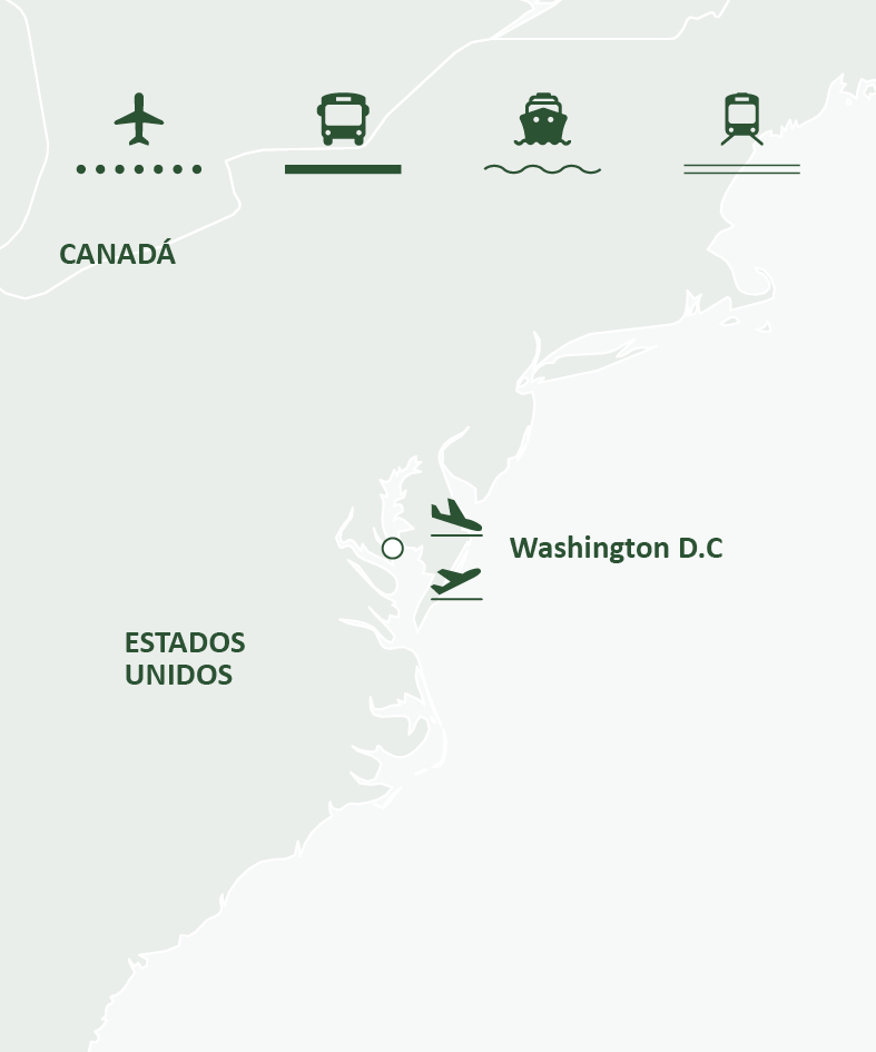 Mapa de ruta