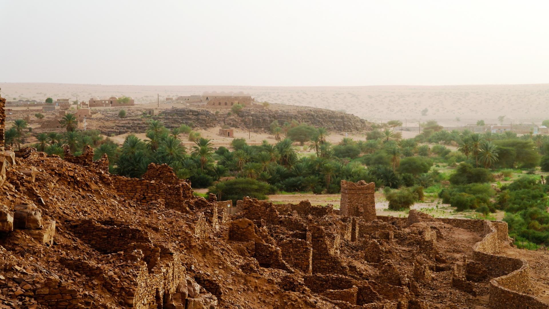 Expedición por África del Oeste del Desierto a la Selva. Mauritania-Senegal-Gambia-Guinea Bissau * Exclusivo AM Expedición por África del Oeste del Desierto a la Selva. Mauritania-Senegal-Gambia-Guinea Bissau * Exclusivo AM