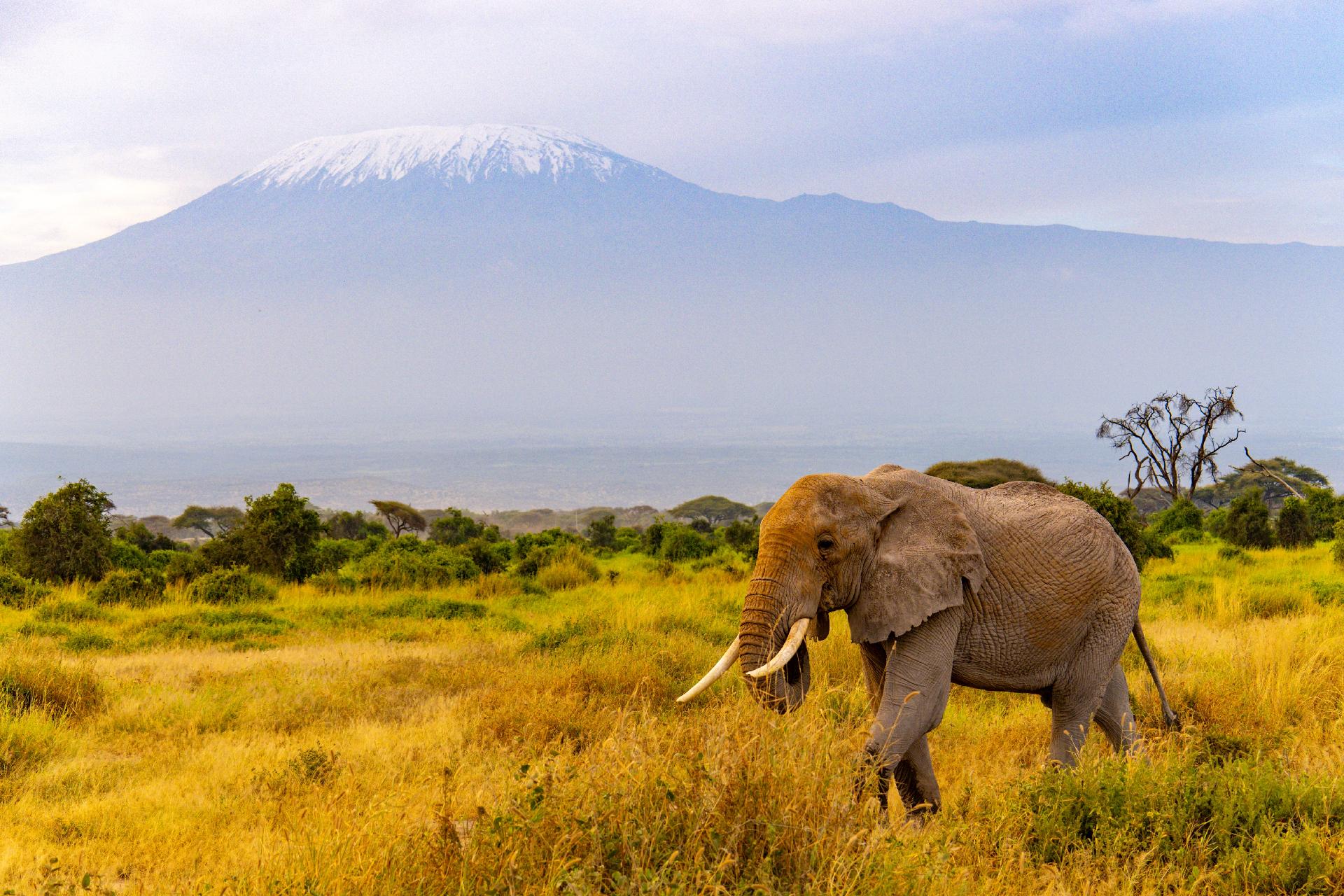 Especial Serengueti y Ngorongoro Especial Serengueti y Ngorongoro
