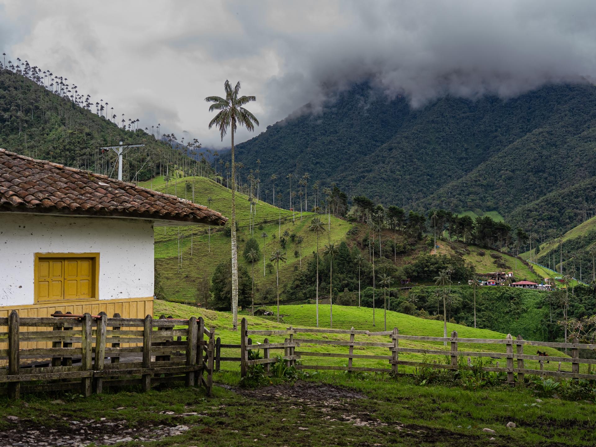 Tesoros de Colombia - Cali - Zona Cafetera y Cartagena de Indias - Essence Tesoros de Colombia - Cali - Zona Cafetera y Cartagena de Indias - Essence