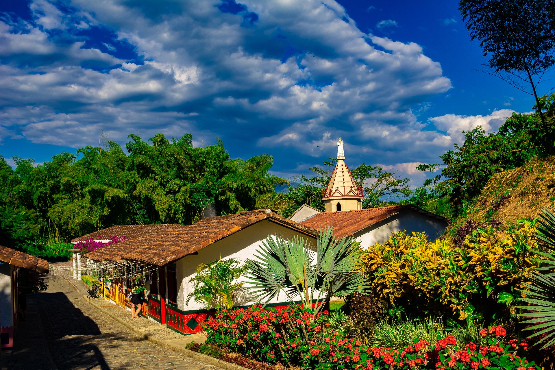 Salsa, Café y Flores - Cali, Zona Cafetera y Medellin (Salida domingo) - Essence Salsa, Café y Flores - Cali, Zona Cafetera y Medellin (Salida domingo) - Essence