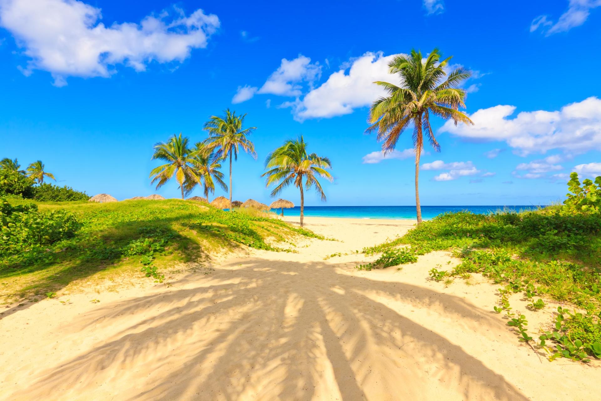 shutterstock_88278253