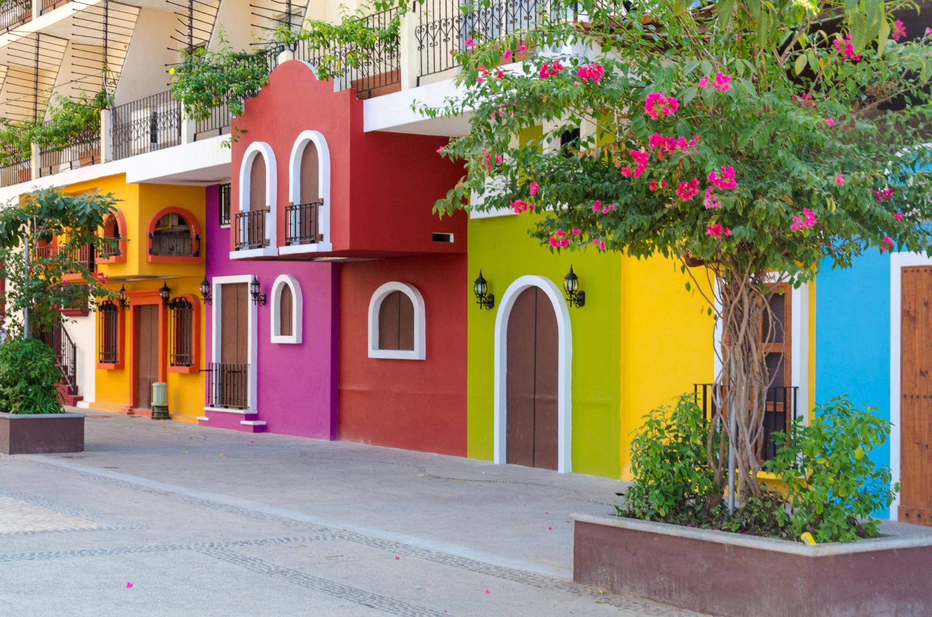 Vallarta - Dynamic Vallarta - Dynamic