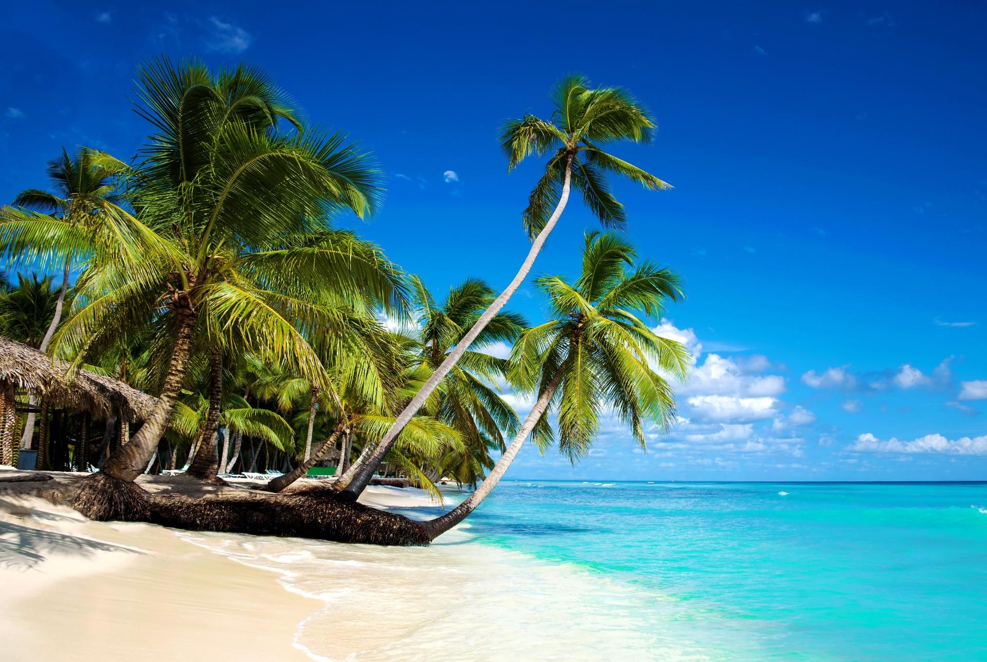 Punta Cana - Dynamic Punta Cana - Dynamic