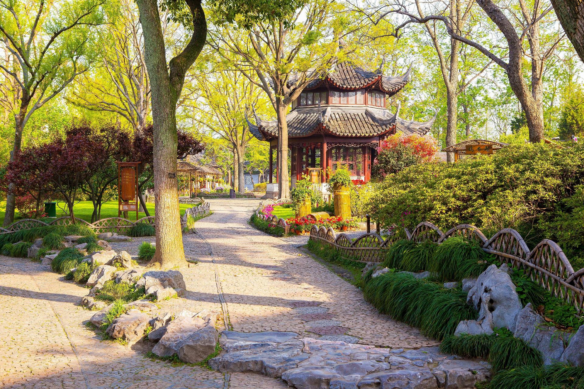 Sabores de China Sabores de China