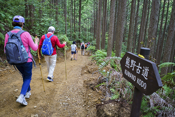 Kumano Kodo, el camino sagrado
