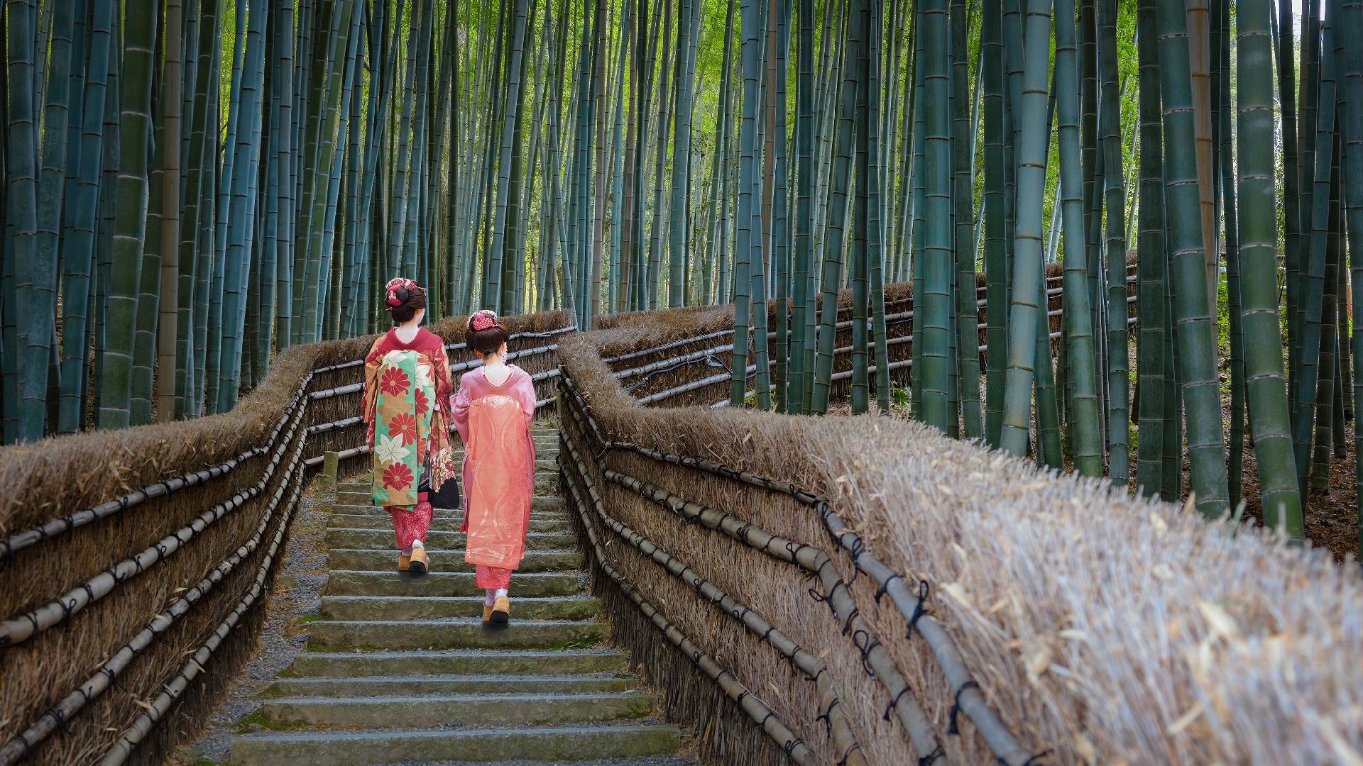 Lo mejor de Corea y Joyas Japonesas