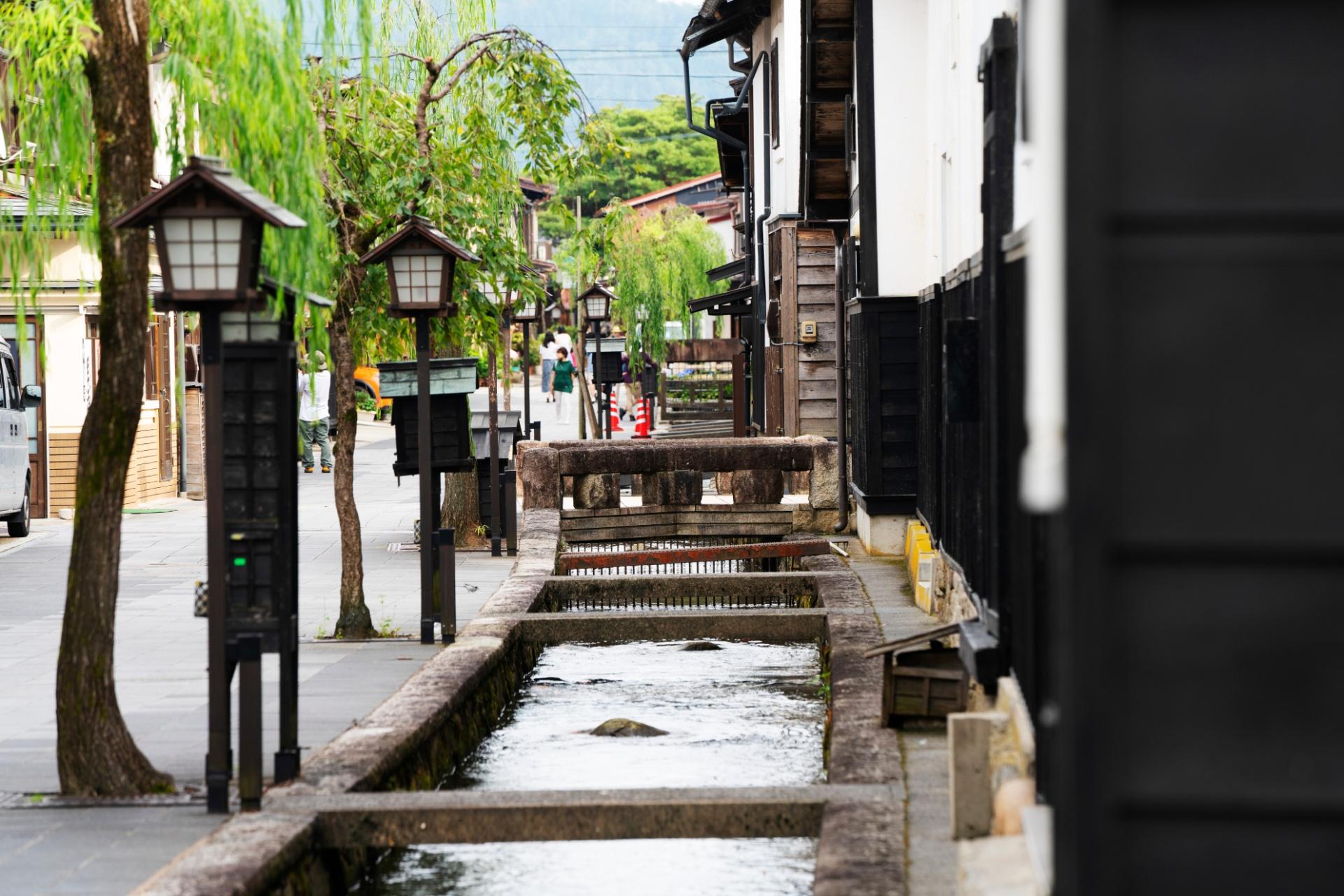 Maravillas Japonesas