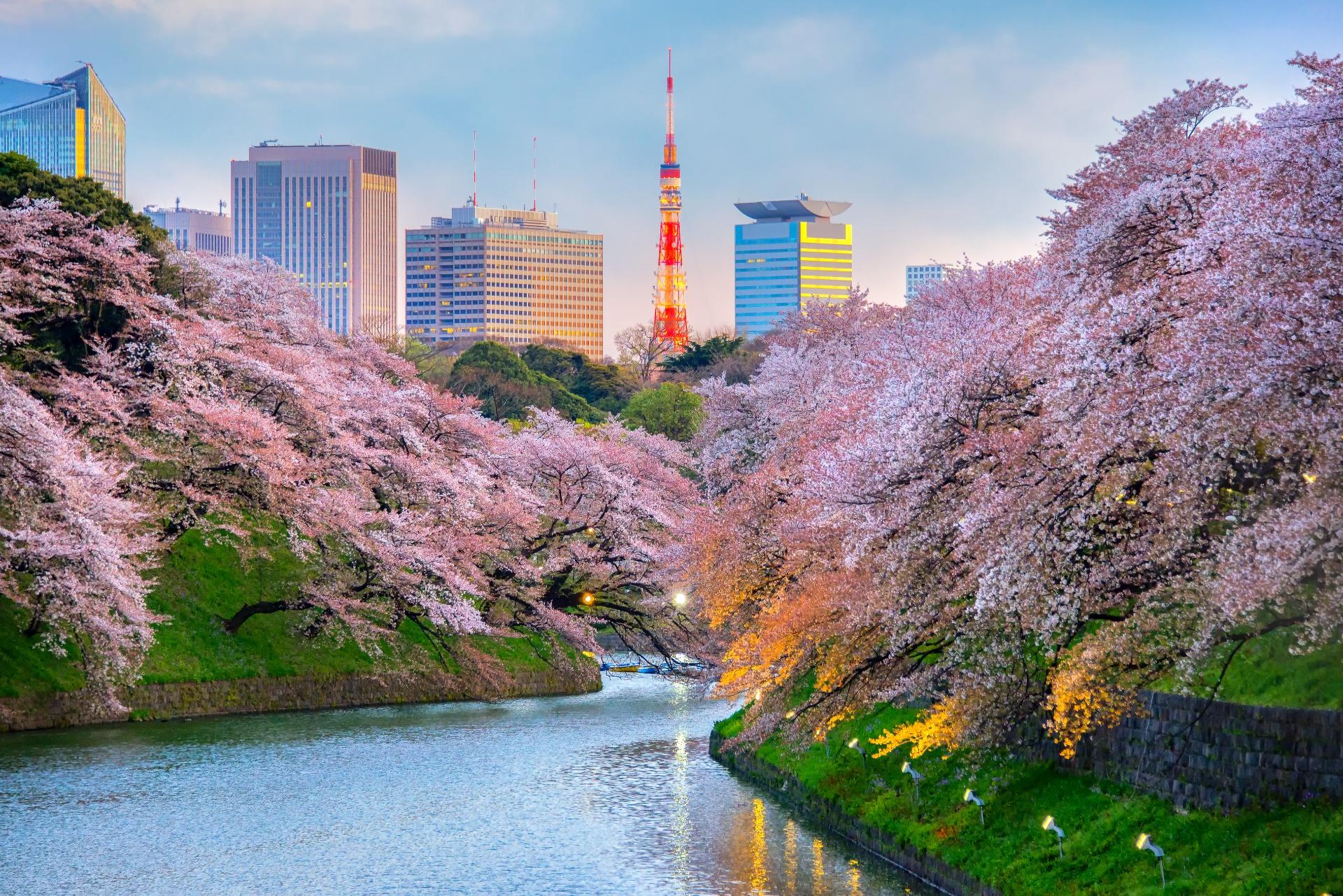 Pasión por Japón. Viajarás con Paco Nadal Pasión por Japón. Viajarás con Paco Nadal