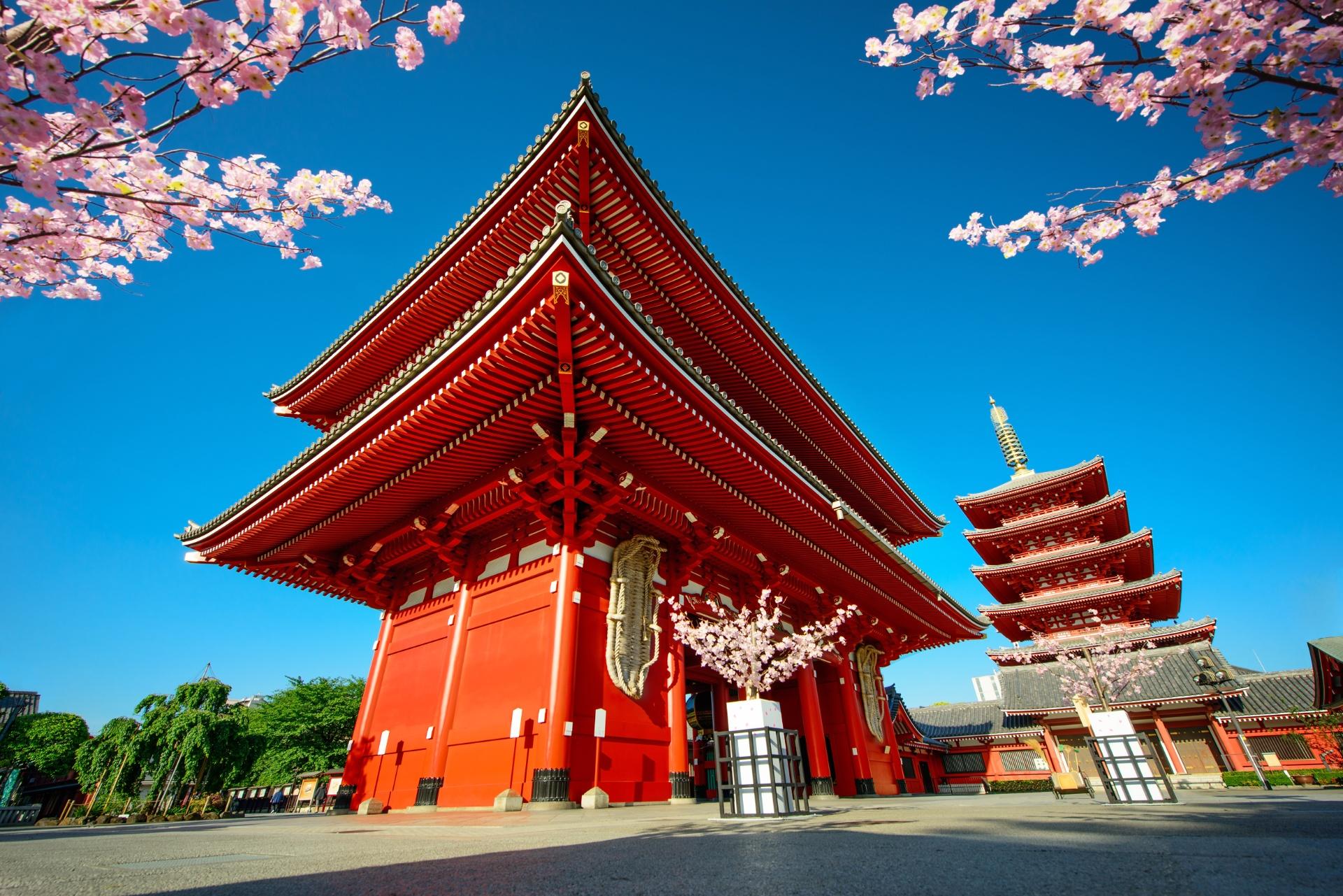 Amazing Japón Amazing Japón