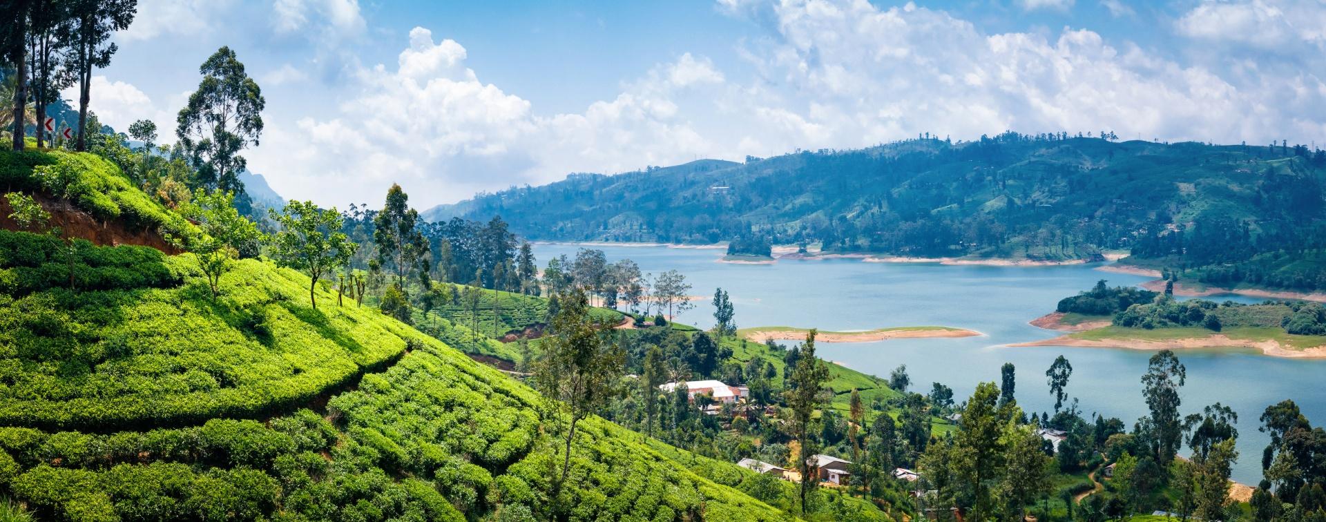 Sri Lanka. La Perla del Índico Sri Lanka. La Perla del Índico