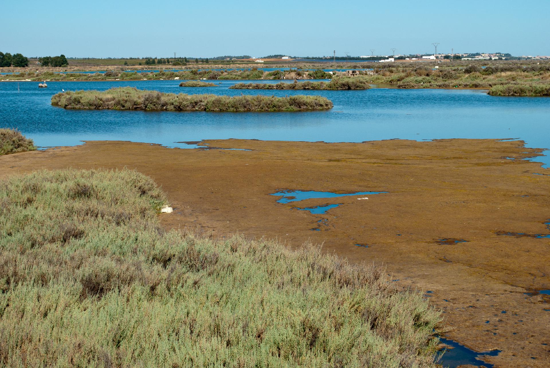Circuito Huelva y Aracena desde Barcelona