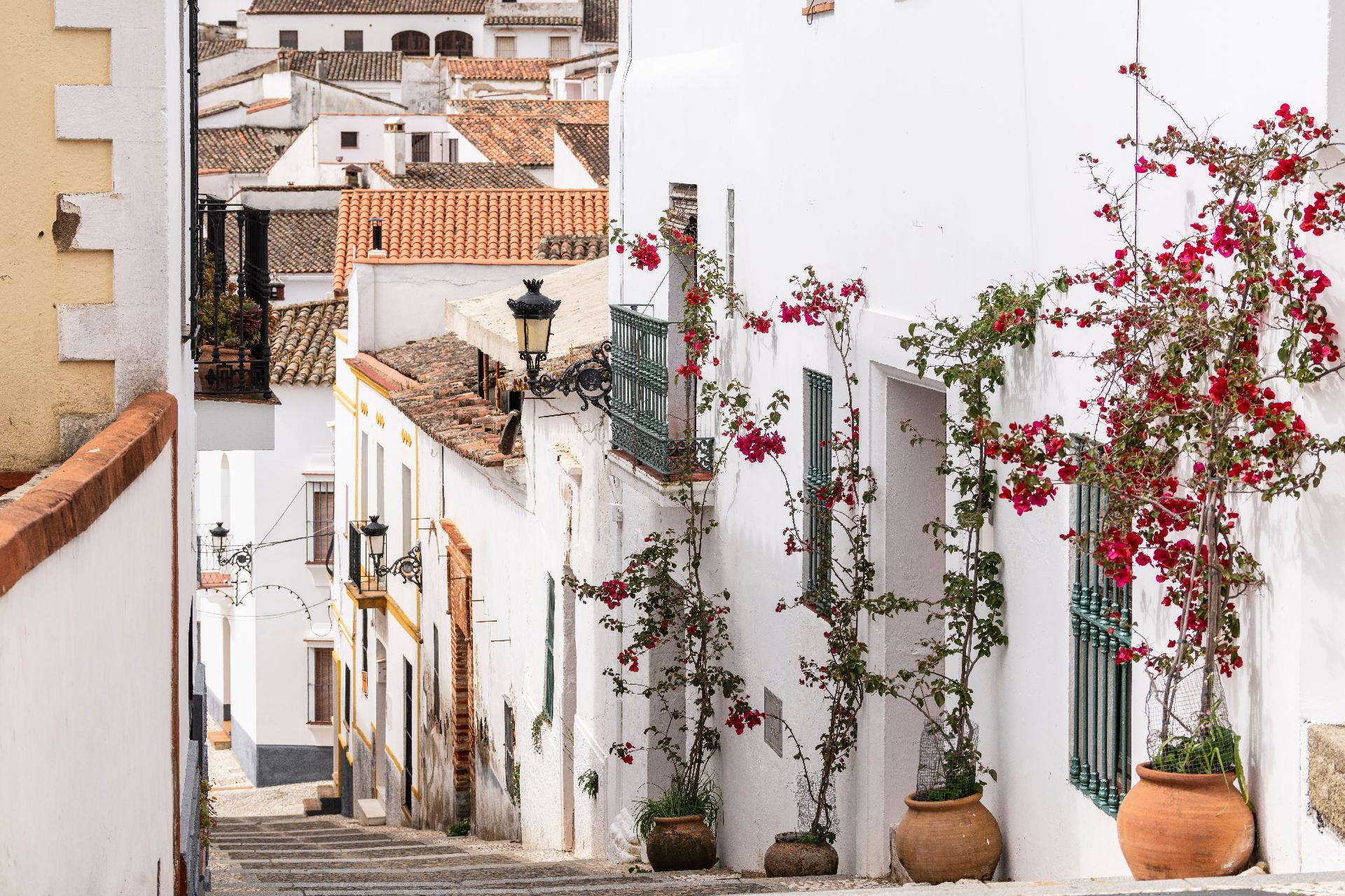 Huelva y Sierra de Aracena