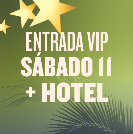 Mad Cool - Madrid - 11 julio. Hotel + Entrada VIP