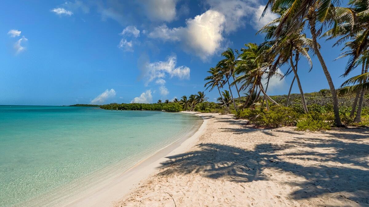 Contoy Island & Isla Mujeres Tour