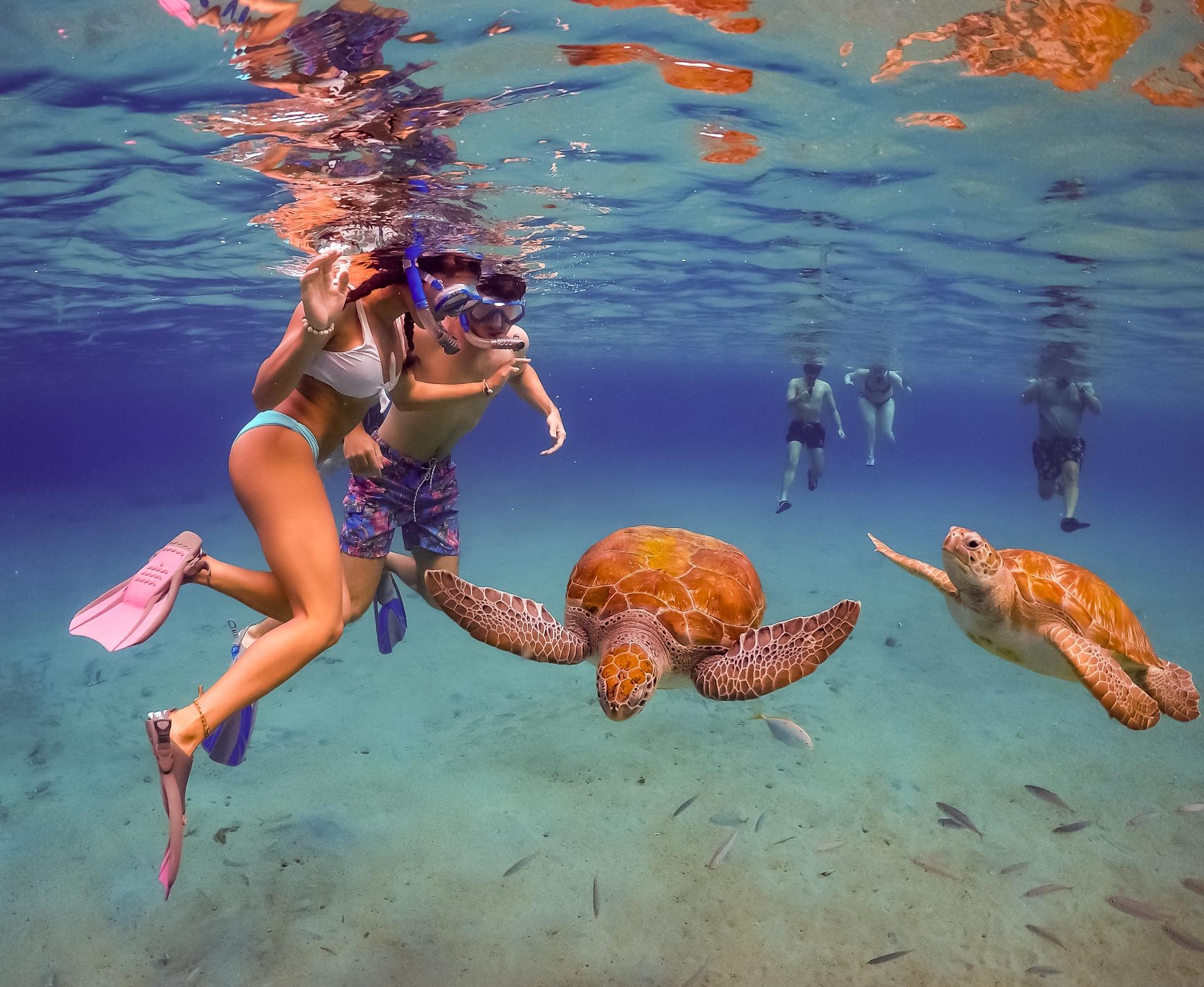 Tulum Cenote & Tortugas