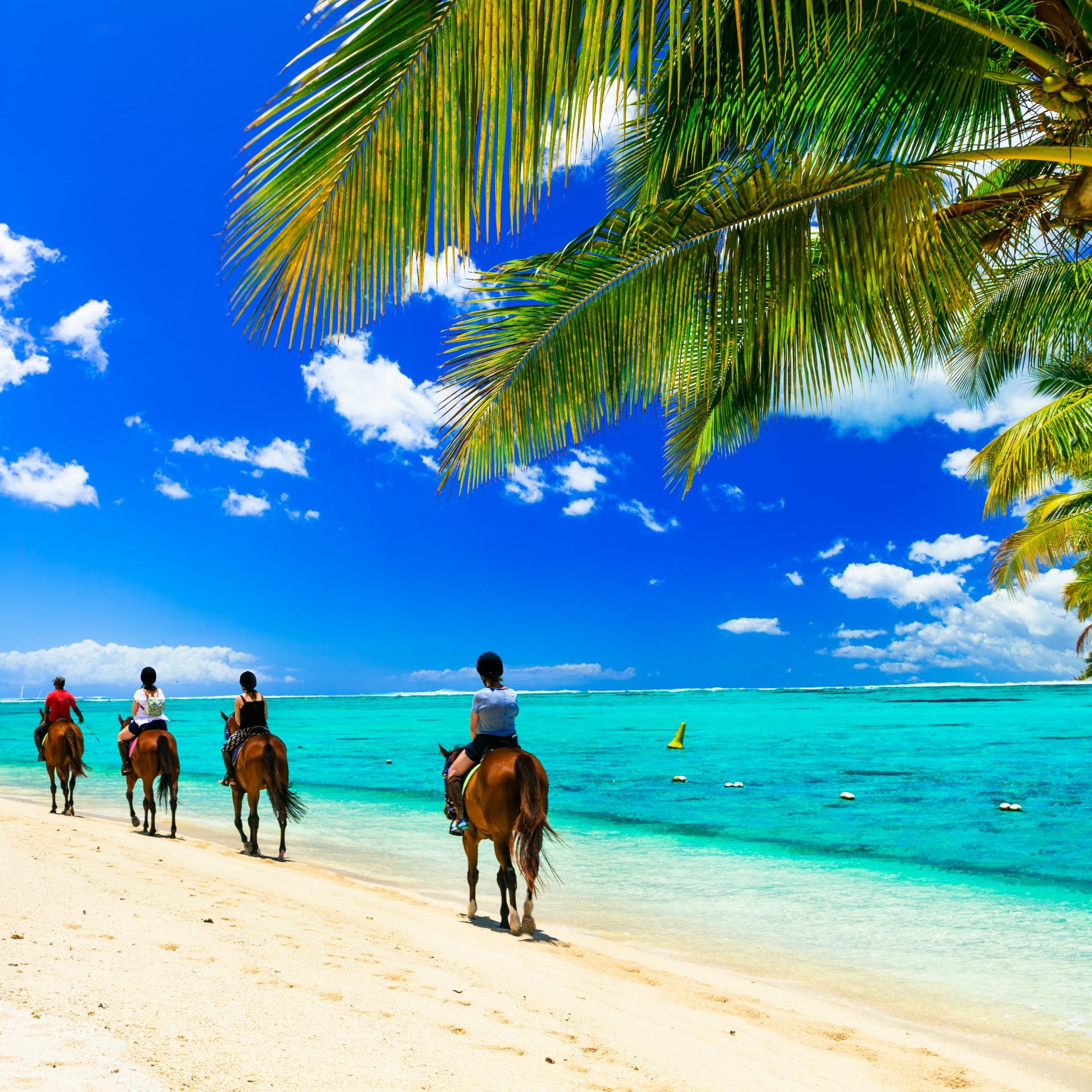 Rancho Caribeño HorseBack Riding 2 horas