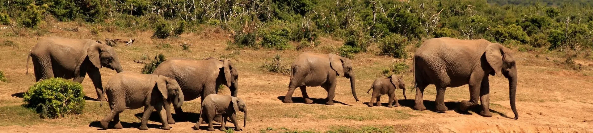 viajes a africa viajar con expertos