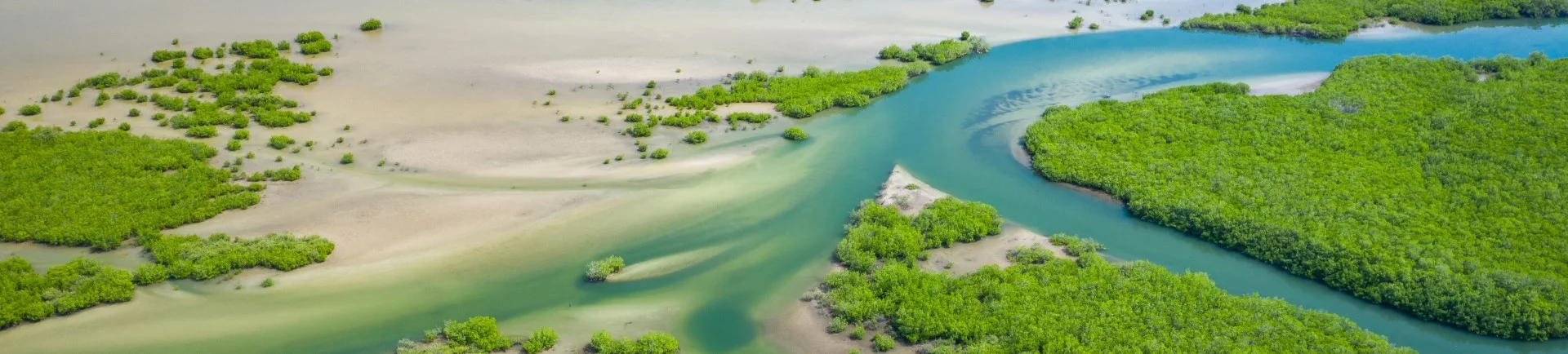 viajar a senegal viajes a africa