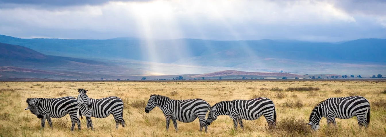que-ver-tanzania que-ver-tanzania