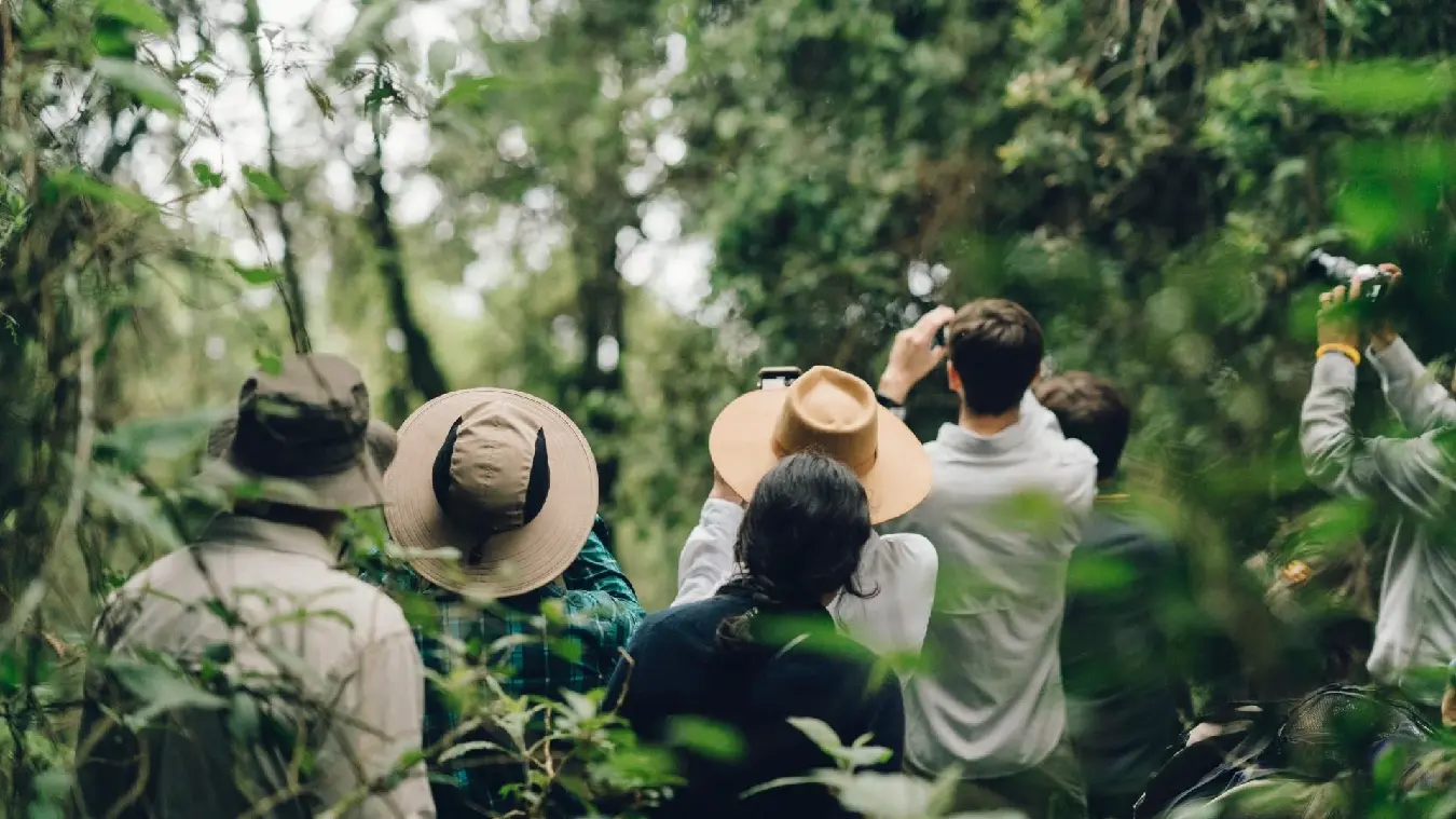 viajar en grupo a uganda para ver gorilas. viajes fotográficos y aventura en africa