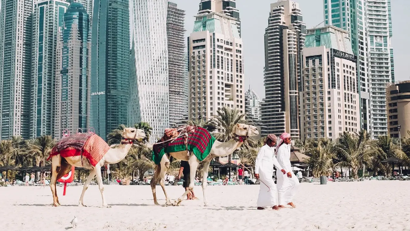viajes de aventura en camellos en Dubai. viajar a Emiratos Árabes Unidos