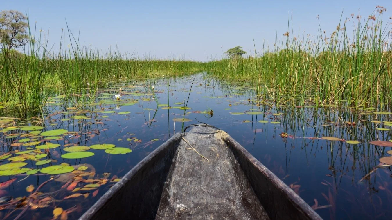 viajes a africa viajar a botswana safari