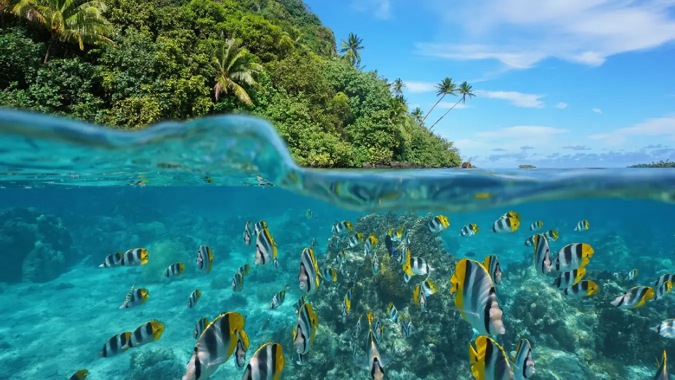 viajes a huahin, bora bora, polinesia francesa. viajar de luna de miel, playas paradisiacas