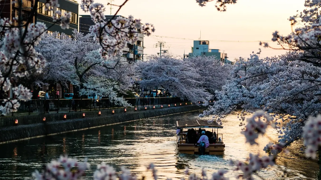 viajes con expertos a kioto, Japón. viajar de luna de miel a Asia