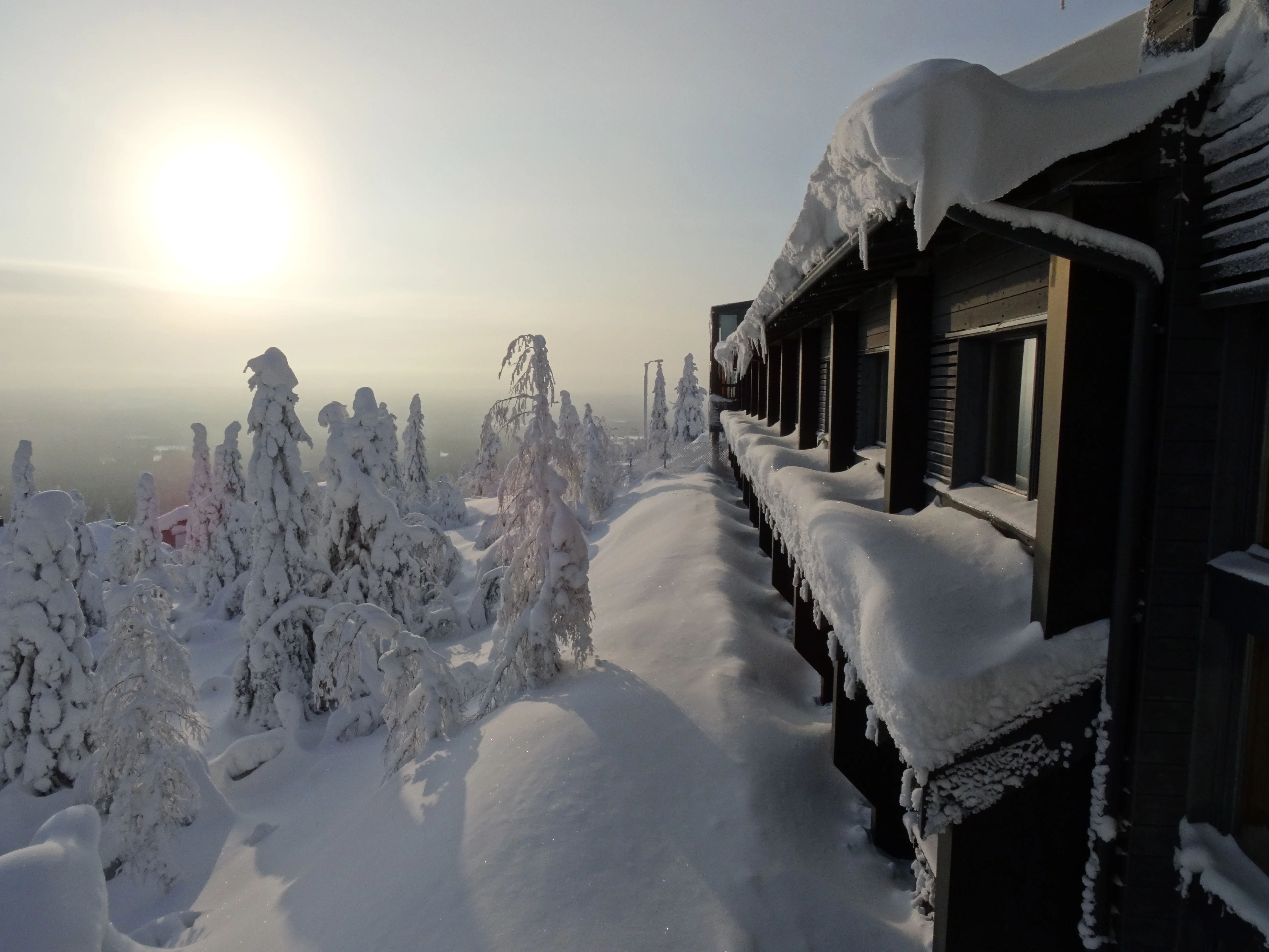IsoSyote_Finlandia_1