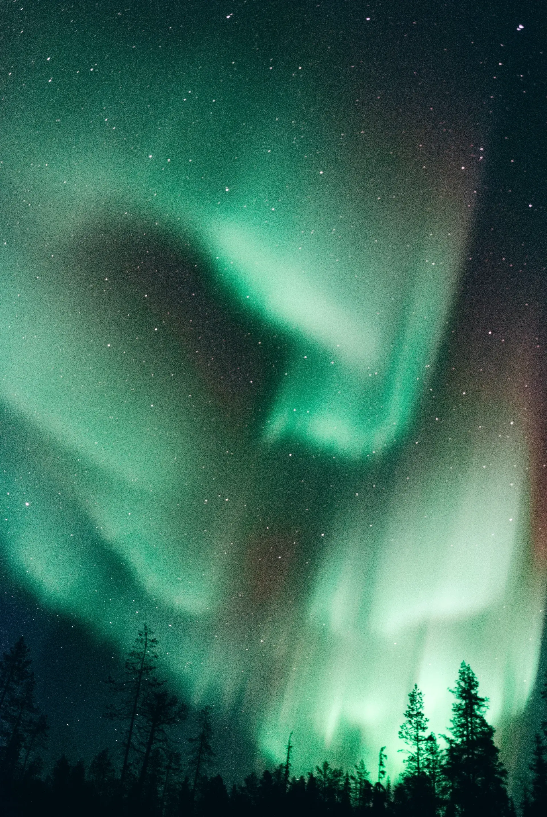 Laponia_Finlandia_11