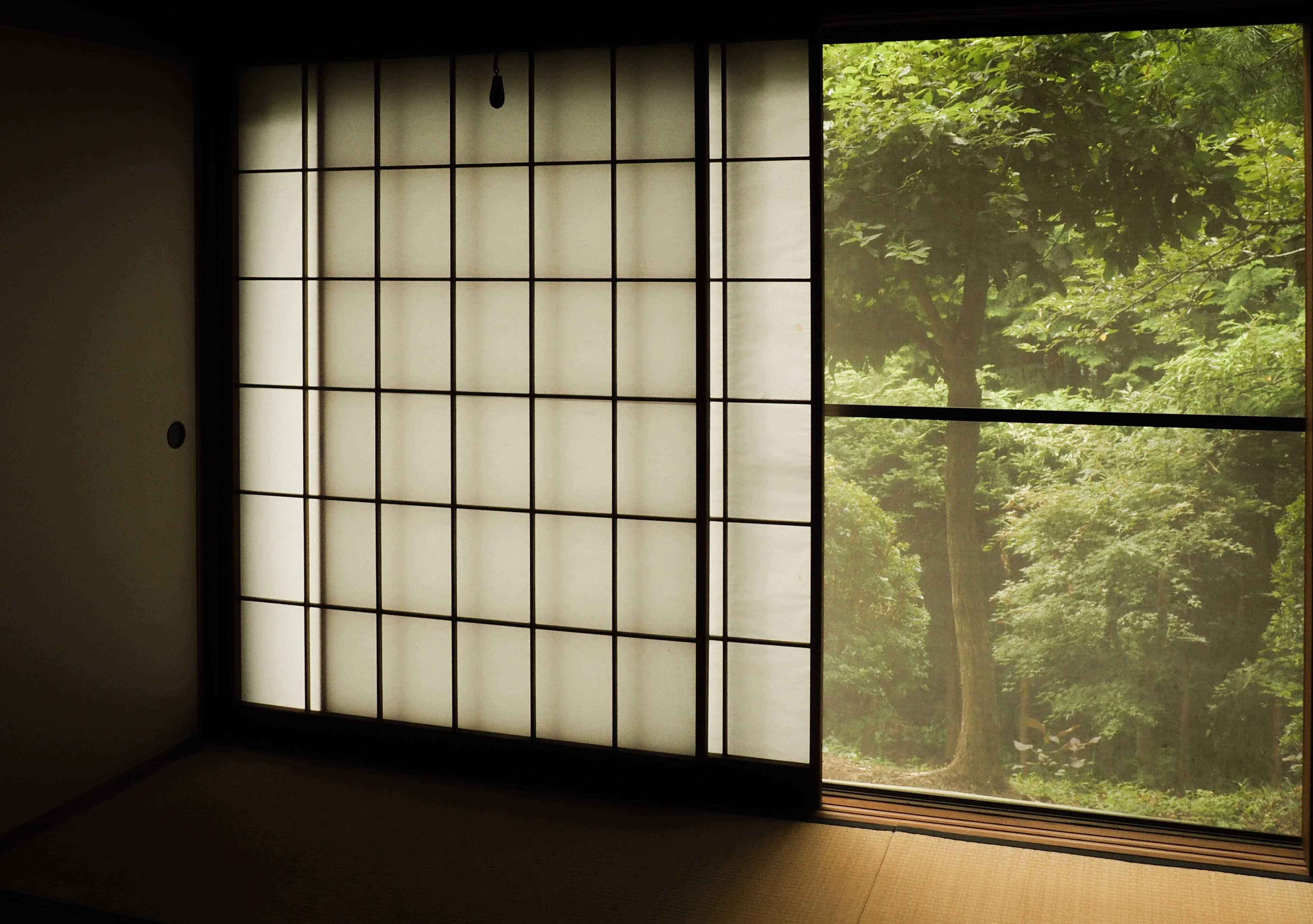 Hakone_Japon_1