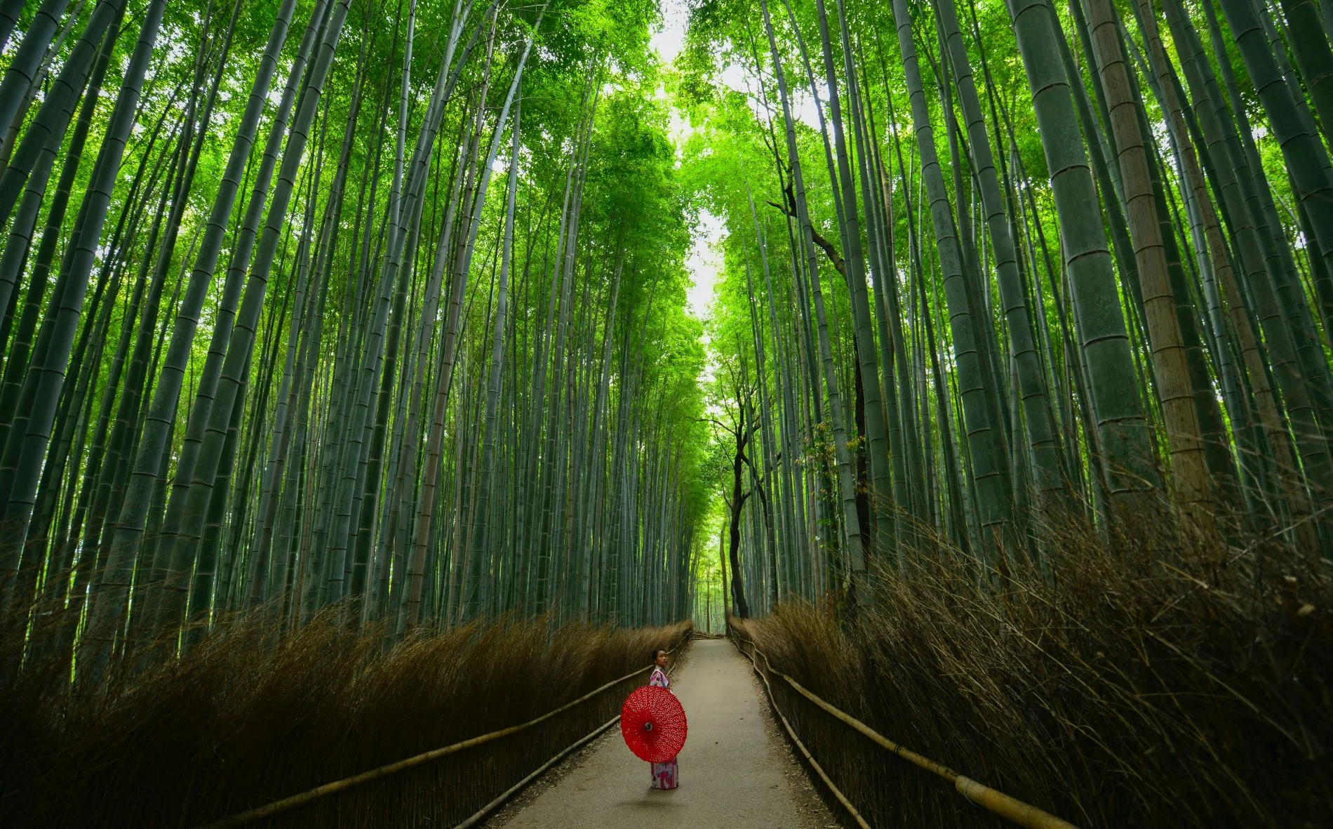 Kioto_Japan_12