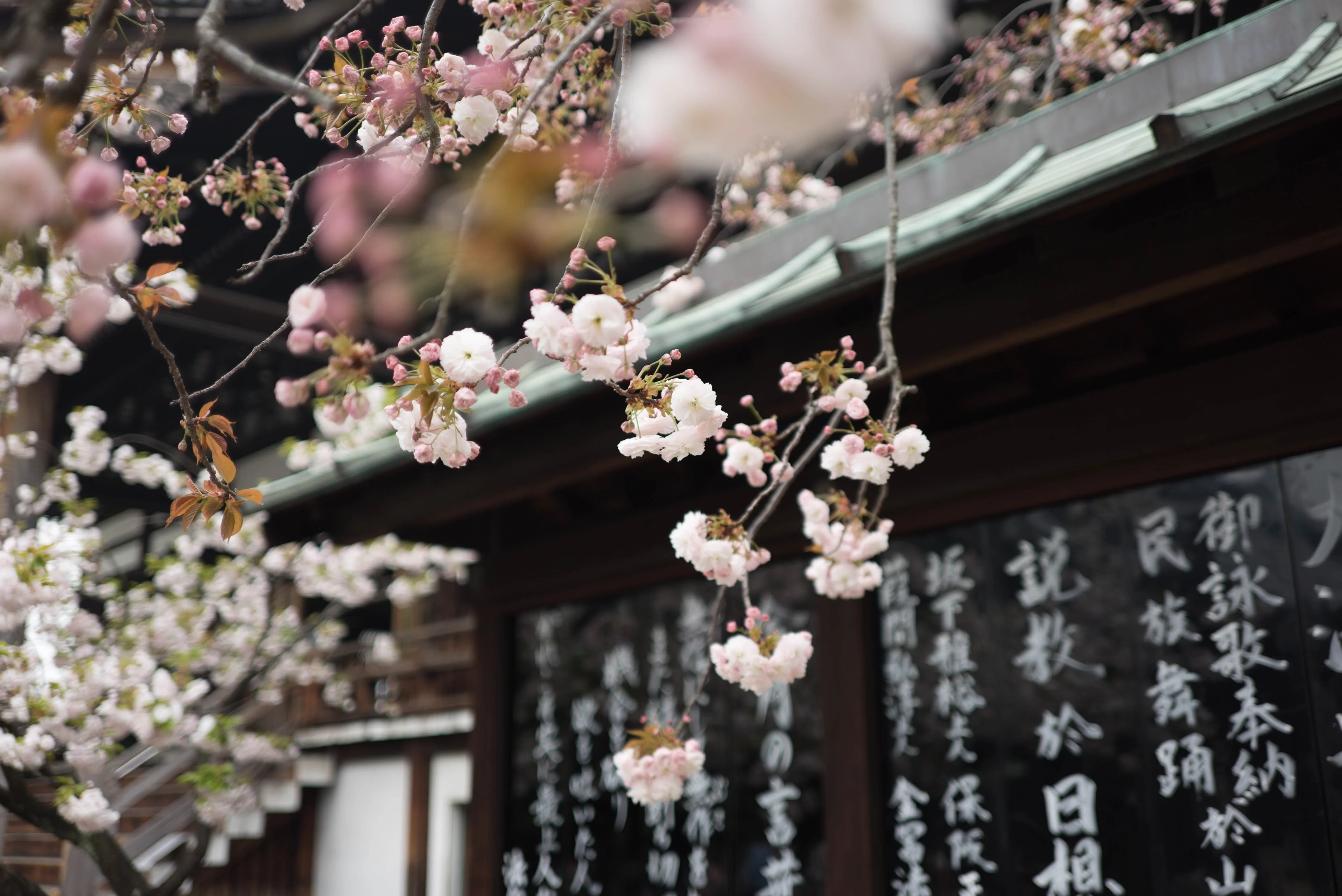 Osaka_Japon_5