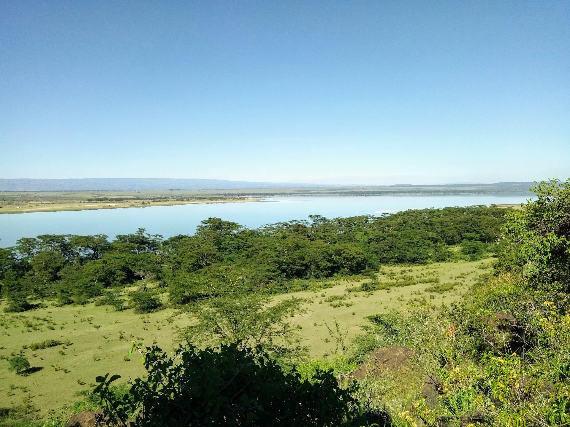 Lago-Elementaita_1