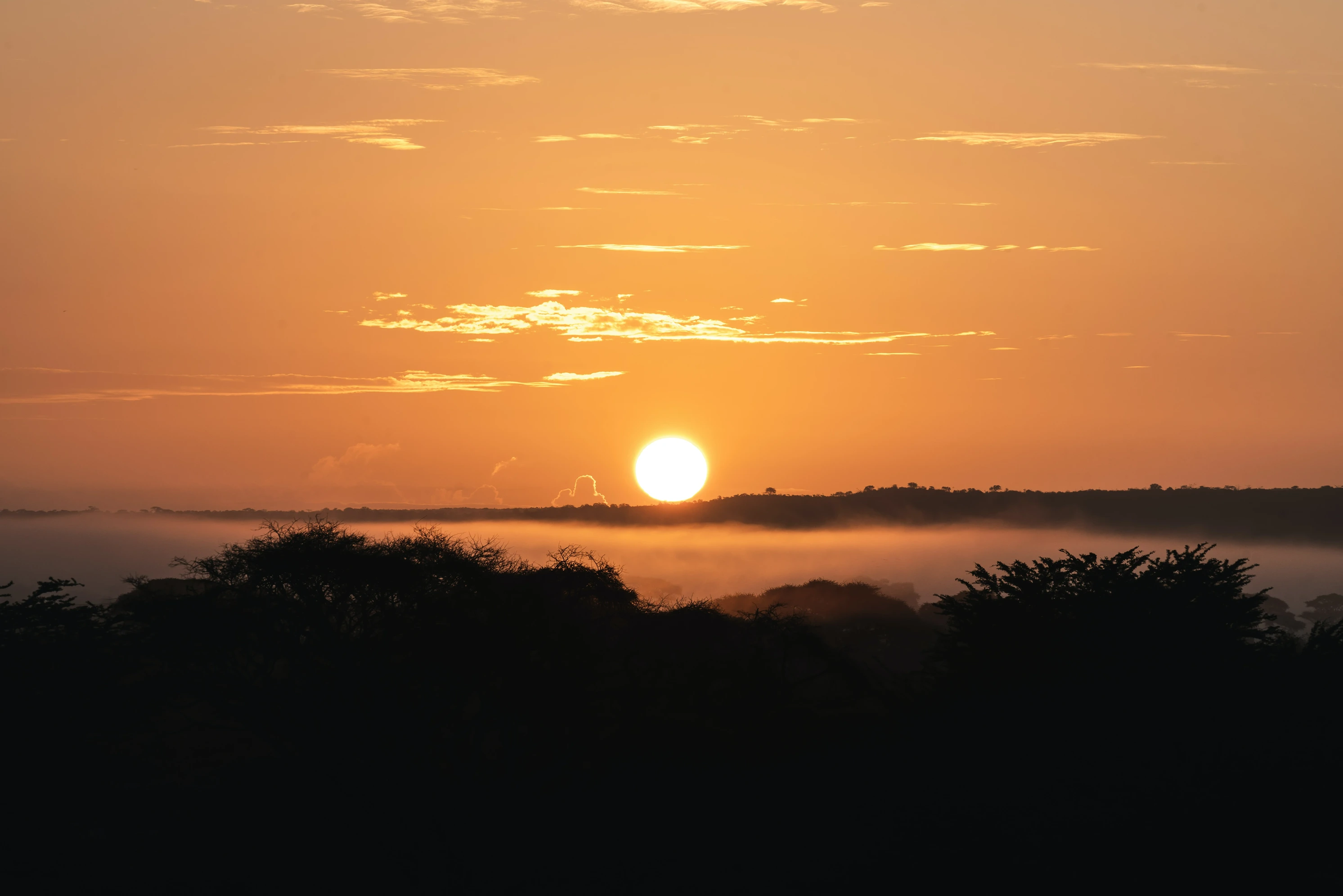 Parque_Amboseli_Kenia_5