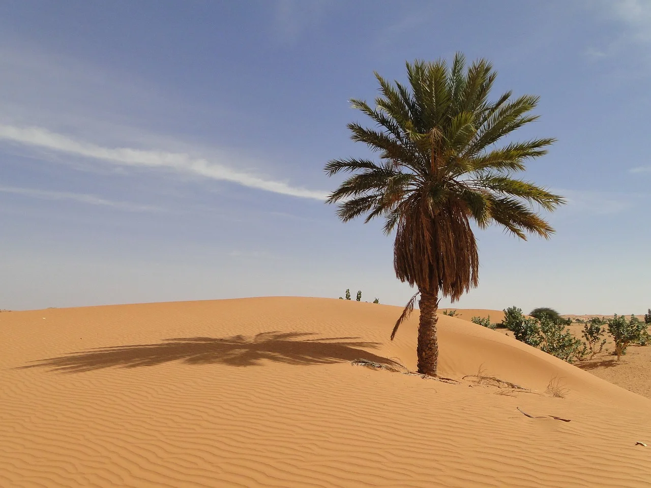Mauritania_4 Mauritania_4