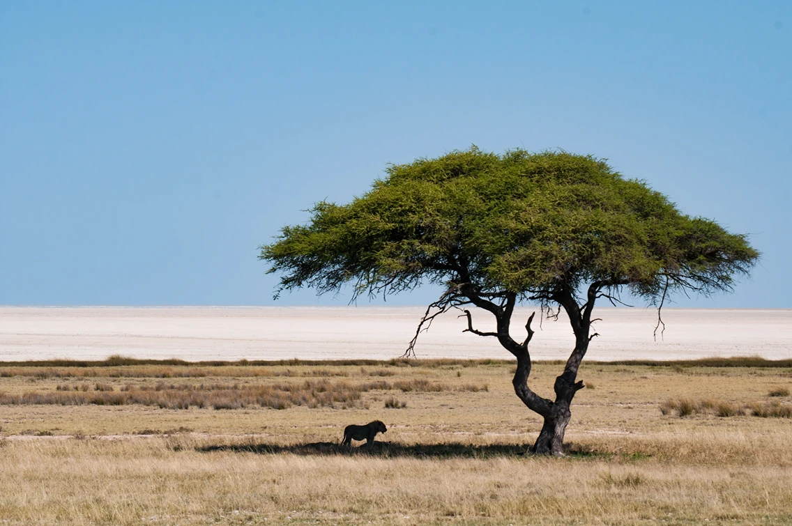 Namibia_14 Namibia_14