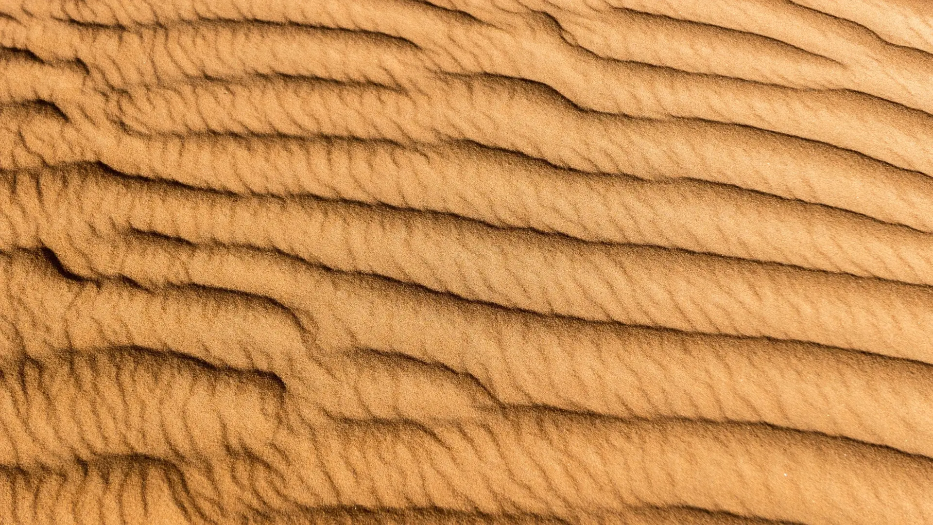 Wahiba-Sands_Oman_2