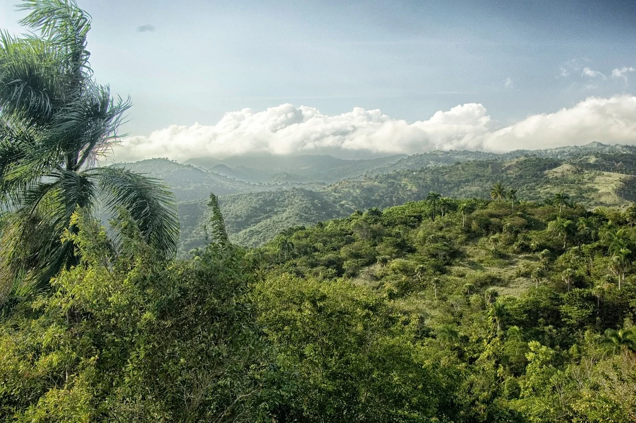 Haitises_republica_dominicana