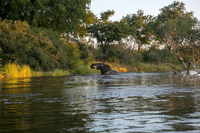Zambia_2