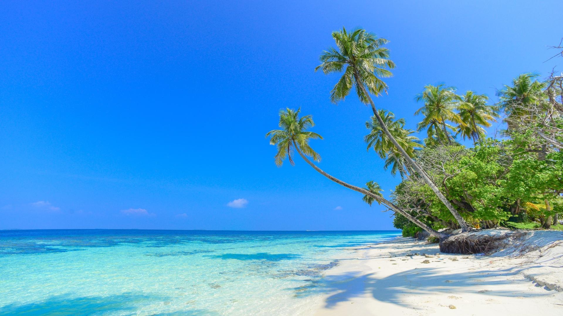 Playas Paradisíacas