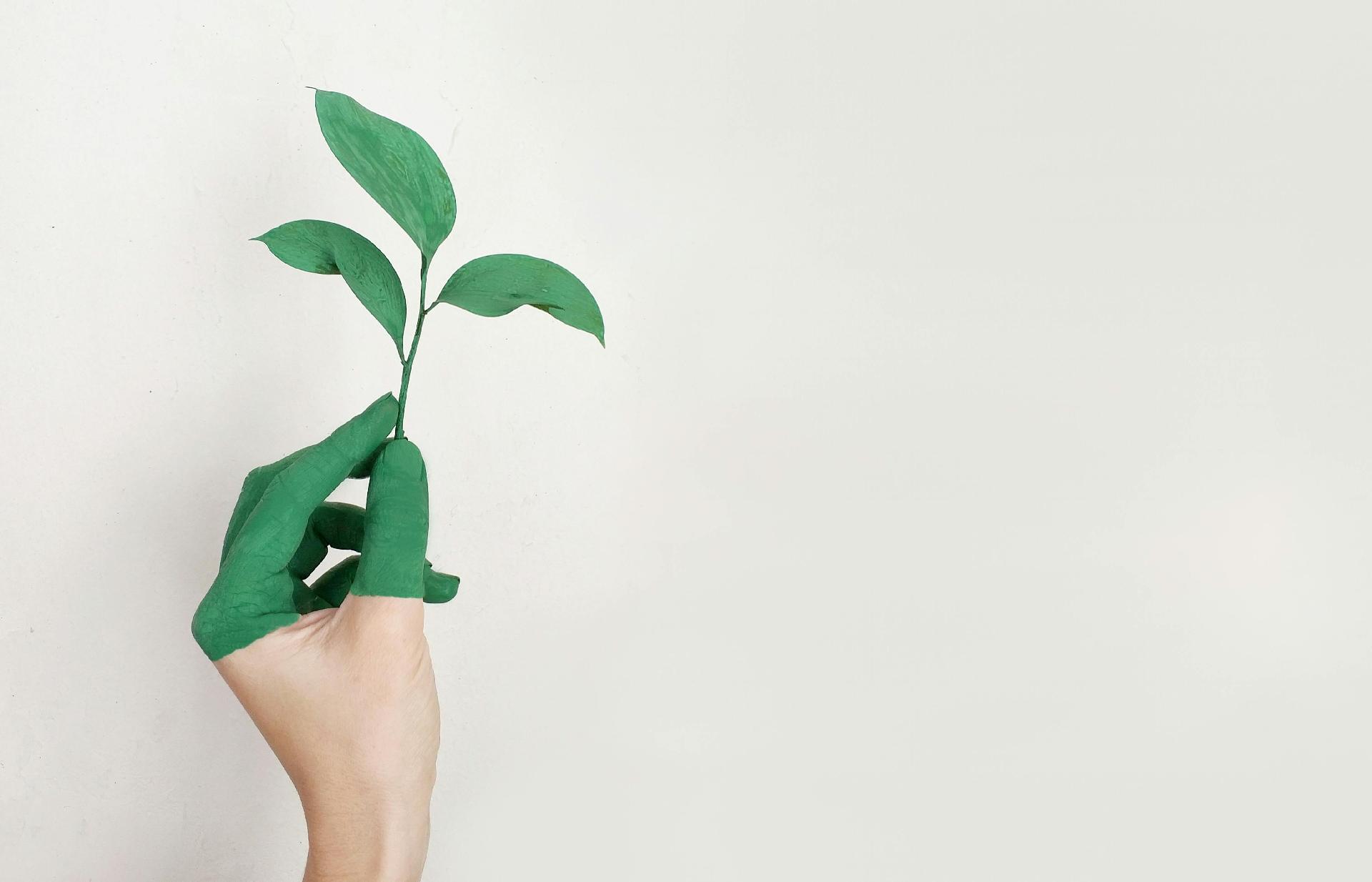 Transformando los Viajes de Negocios: Estrategias Sostenibles para un Futuro Responsable