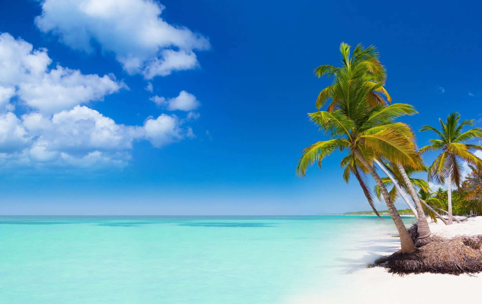 Chalaca Rep Dom 8 lugares que no puedes perderte en tus vacaciones en República Dominicana