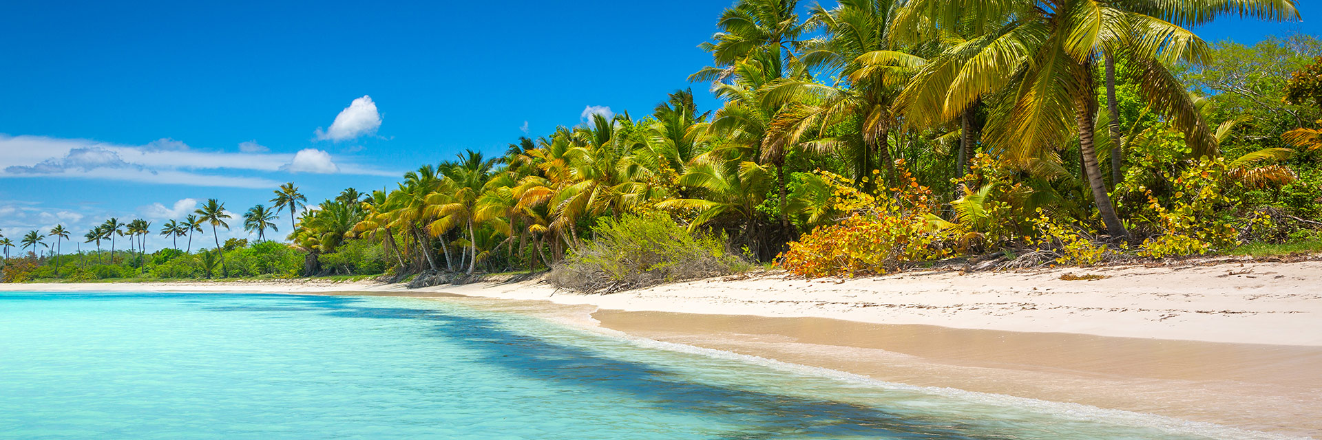 header(1)